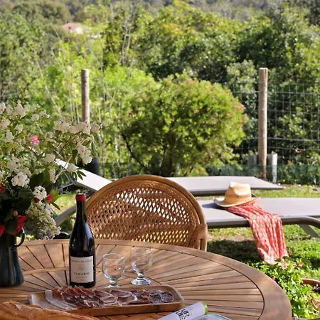 Weingut Punta Della Guardia Panorama Von Macchia Und By Interhome