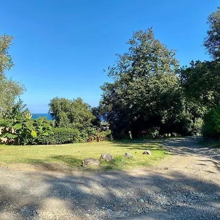 Weingut Punta Della Guardia Panorama Von Macchia Und By Interhome Hébergement de vacances *