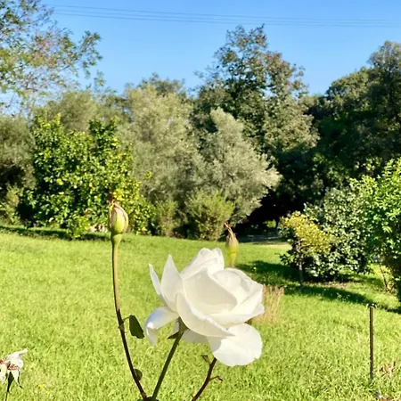 Weingut Punta Della Guardia Panorama Von Macchia Und By Interhome Cervione