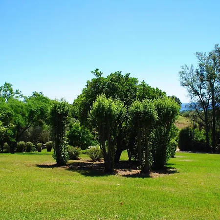 Weingut Punta Della Guardia Panorama Von Macchia Und By Interhome Hébergement de vacances *