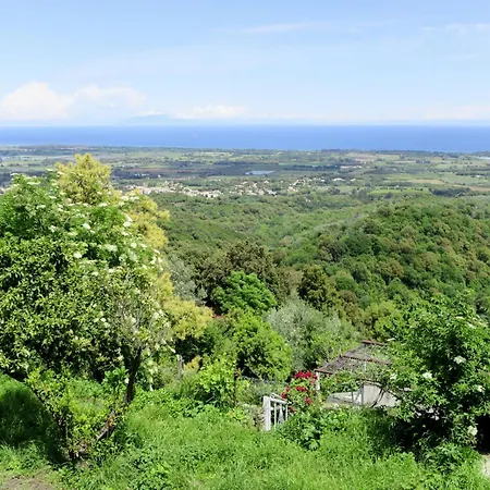 Weingut Punta Della Guardia Panorama Von Macchia Und By Interhome Cervione