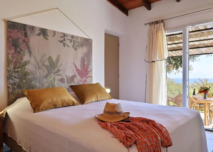 Weingut Punta Della Guardia Panorama Von Macchia Und By Interhome Hébergement de vacances Cervione