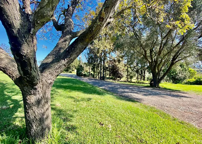 Weingut Punta Della Guardia Panorama Von Macchia Und By Interhome Nyaraló *