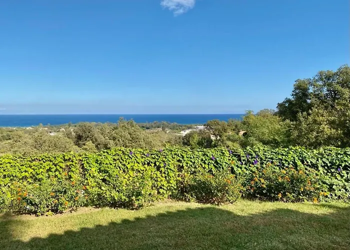 Hébergement de vacances Weingut Punta Della Guardia Panorama Von Macchia Und By Interhome Cervione