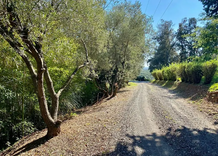 Weingut Punta Della Guardia Panorama Von Macchia Und By Interhome Nyaraló