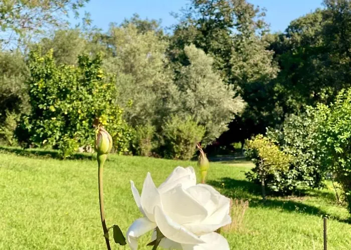 Weingut Punta Della Guardia Panorama Von Macchia Und By Interhome Cervione