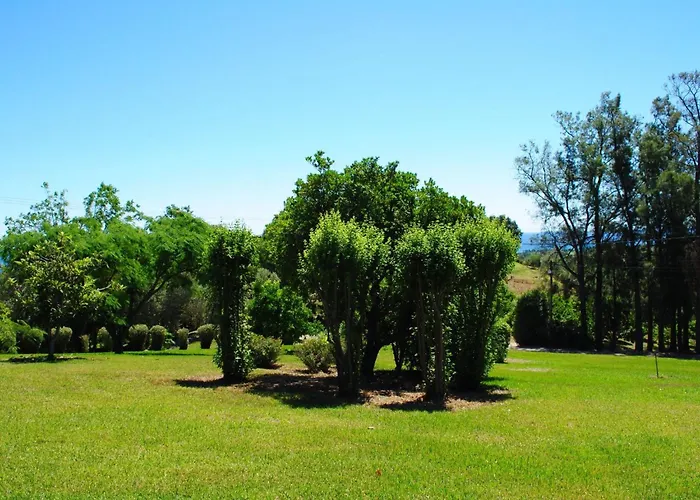 Weingut Punta Della Guardia Panorama Von Macchia Und By Interhome Nyaraló *