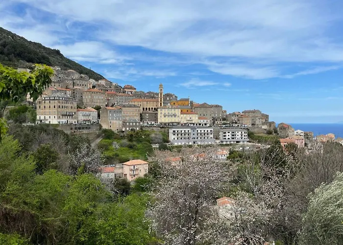 Weingut Punta Della Guardia Panorama Von Macchia Und By Interhome Nyaraló Cervione