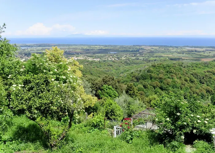 Weingut Punta Della Guardia Panorama Von Macchia Und By Interhome Cervione