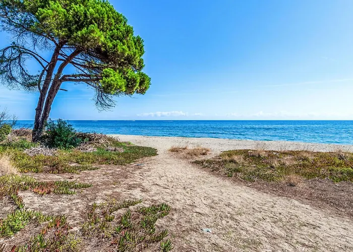Hébergement de vacances Weingut Punta Della Guardia Panorama Von Macchia Und By Interhome *